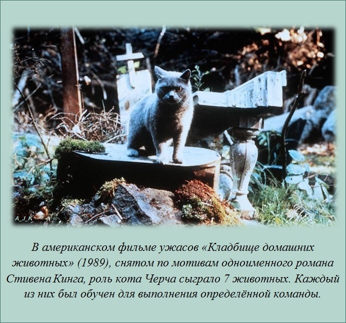 Интересные факты о разном