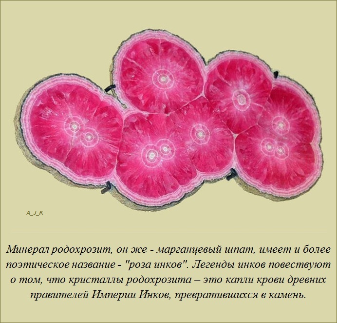 Интересные факты о разном