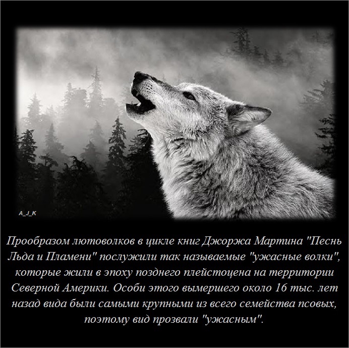 Интересные факты о разном