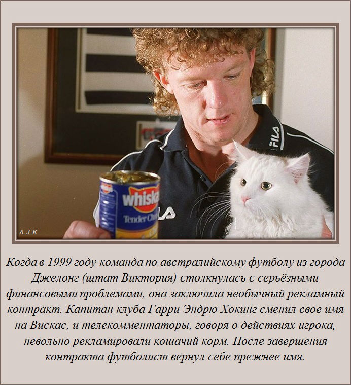 Интересные факты о разном