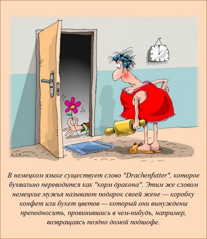 Интересные факты о разном