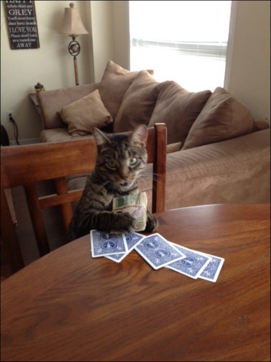 Фото приколы, подборка фотографий