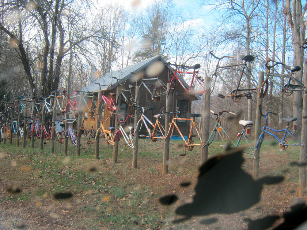 Фото приколы, подборка фотографий