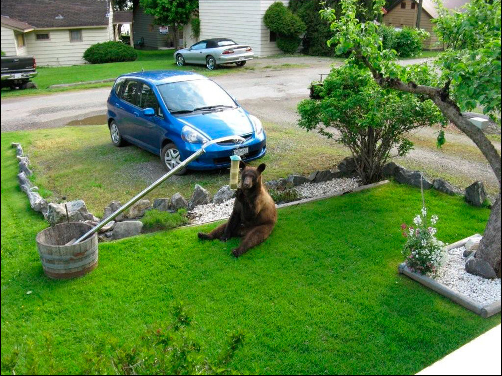 Фото приколы, подборка фотографий