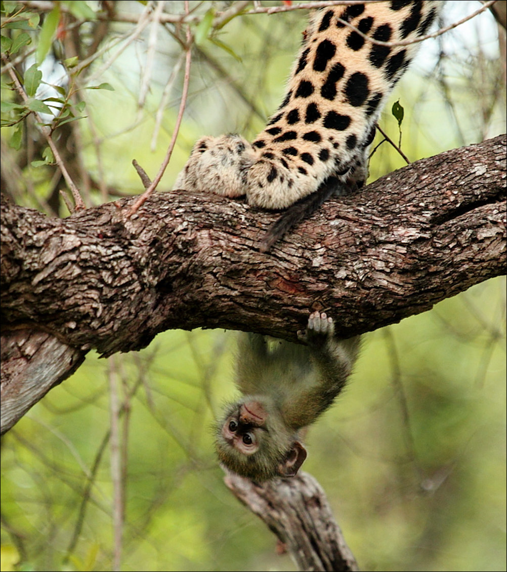 Фото приколы, подборка фотографий