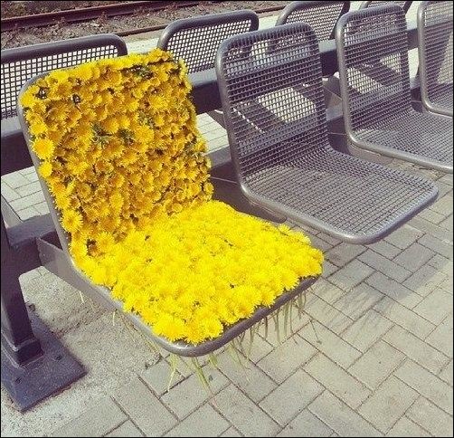 Фото приколы, подборка фотографий