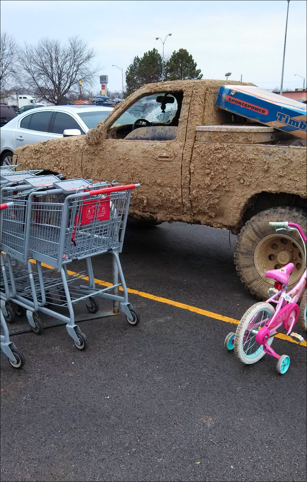 Фото приколы, подборка фотографий