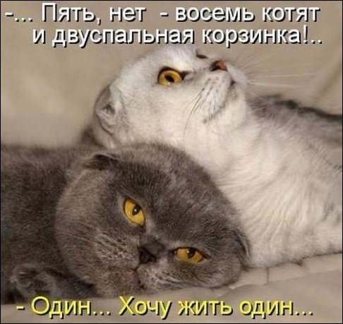 Фото приколы, подборка фотографий