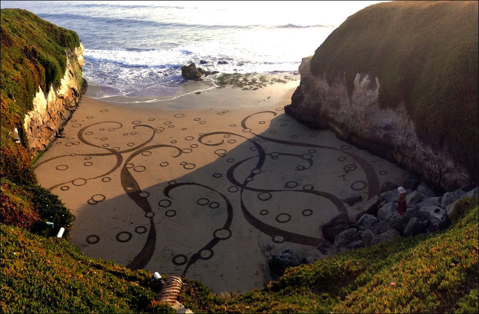 Фото приколы, подборка фотографий