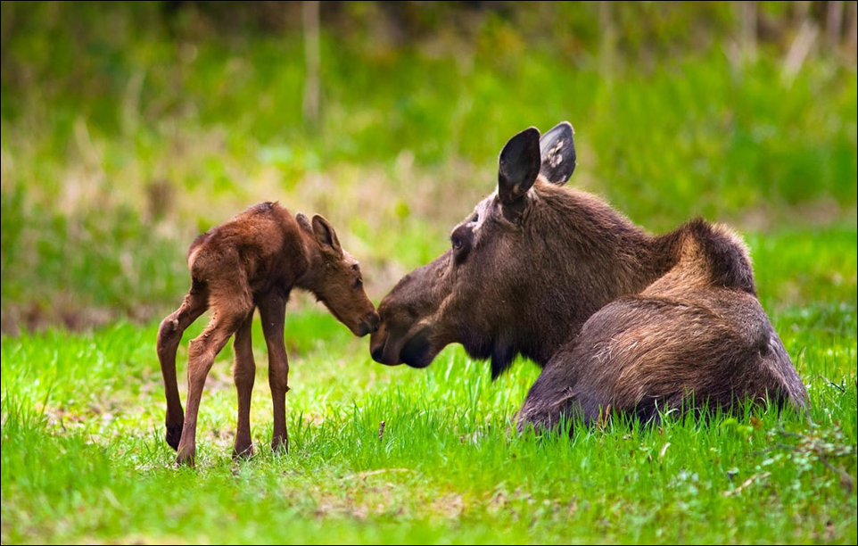 Фото приколы, подборка фотографий