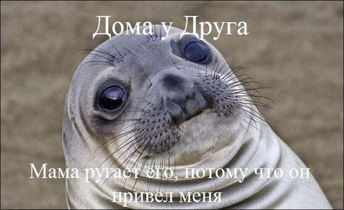 Фото приколы, подборка фотографий