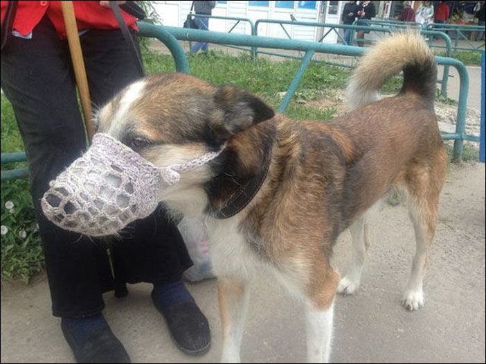 Фото приколы, подборка фотографий