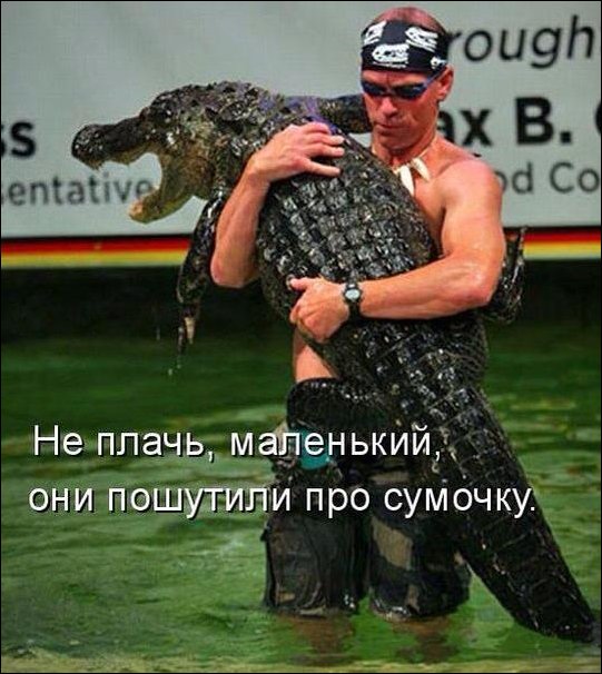 Фото приколы, подборка фотографий