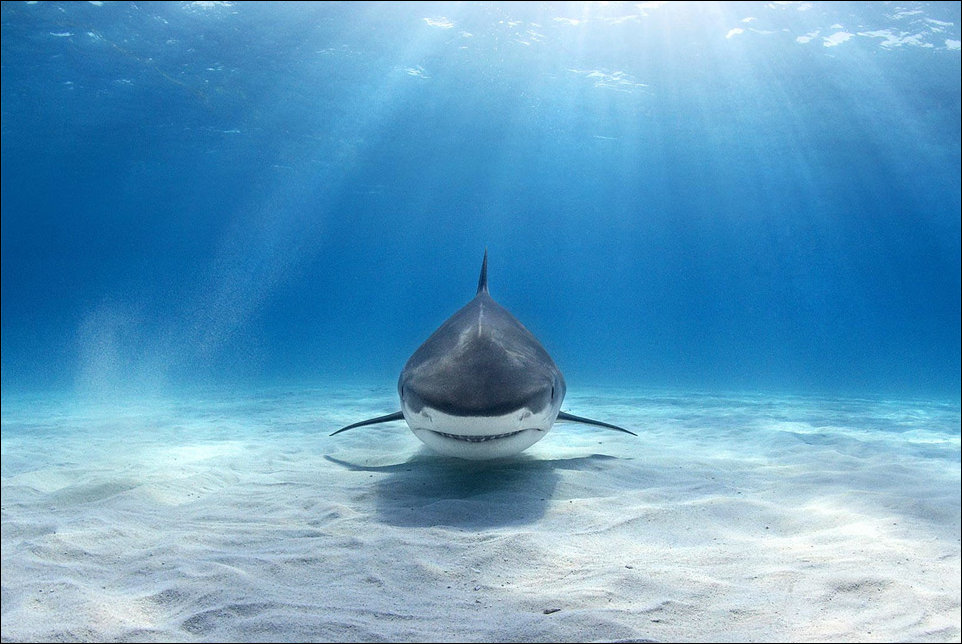 Фото приколы, подборка фотографий