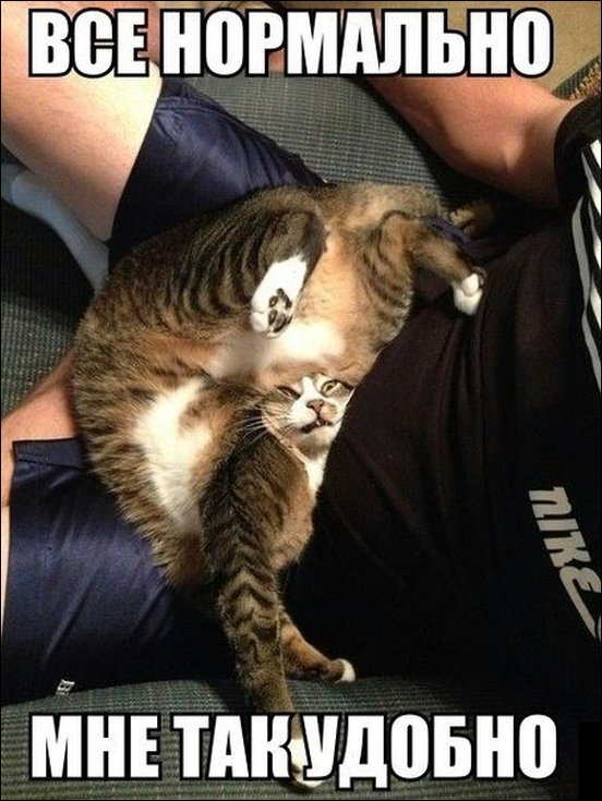 Фото приколы, подборка фотографий