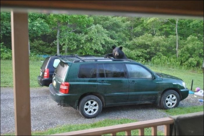 Фото приколы, подборка фотографий