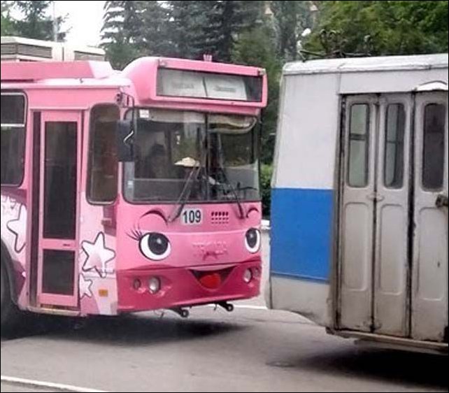 Фото приколы, подборка фотографий