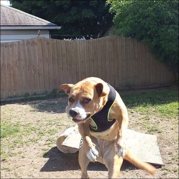 Фото приколы, подборка фотографий