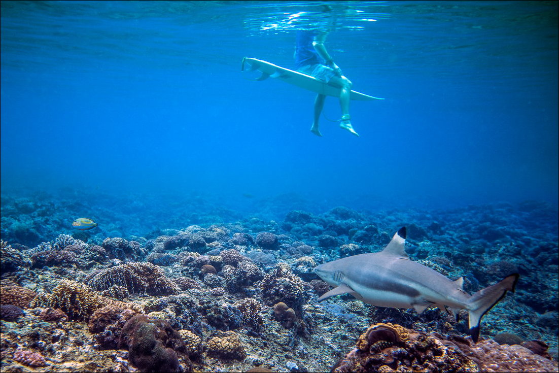 Фото приколы