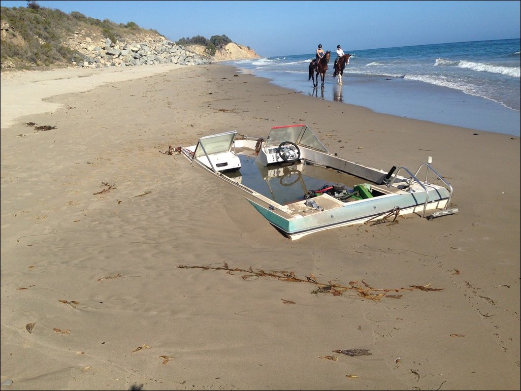 Фото приколы