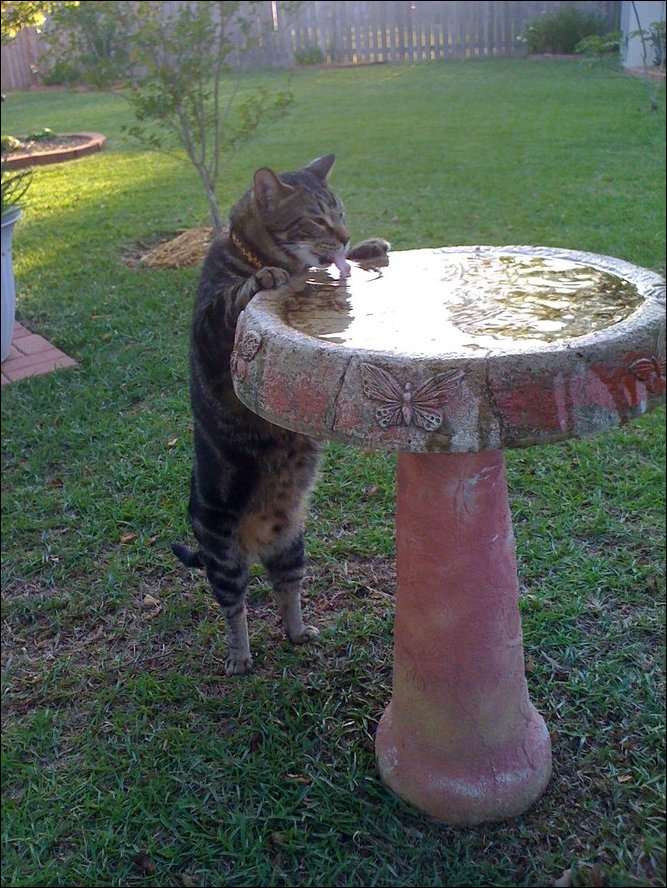 Фото приколы