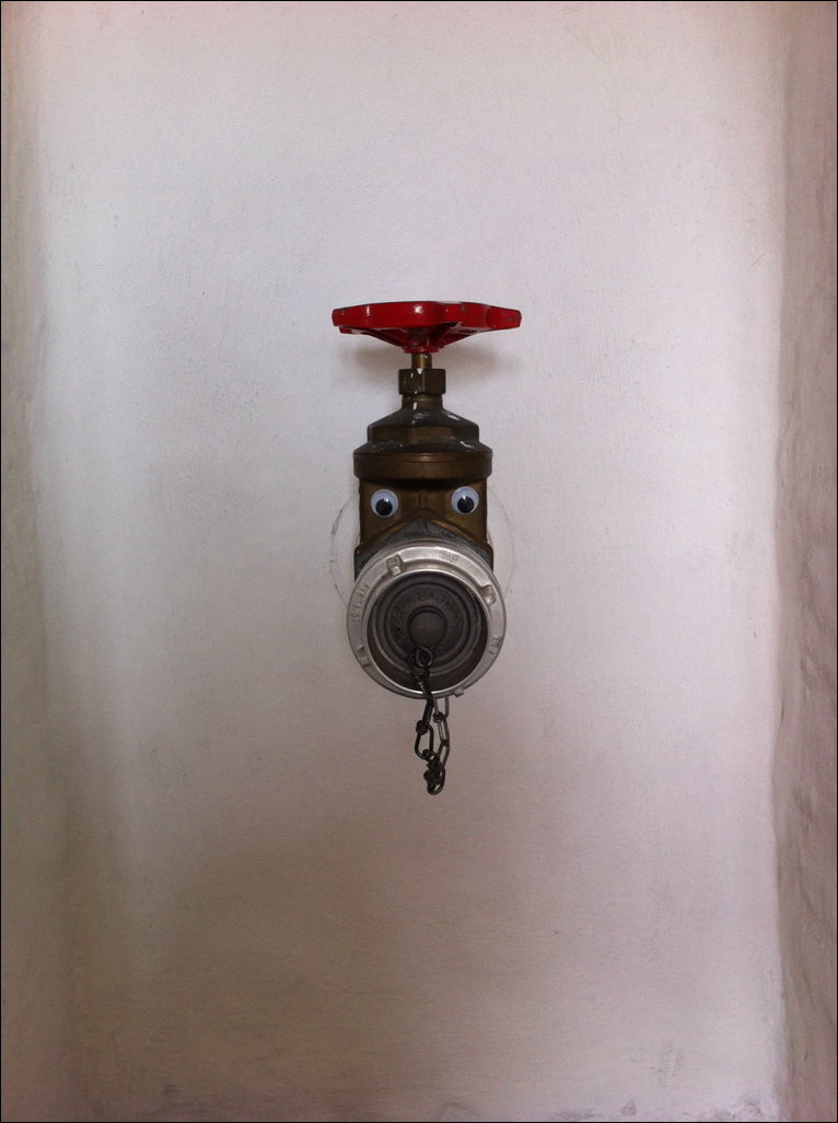 Фото приколы