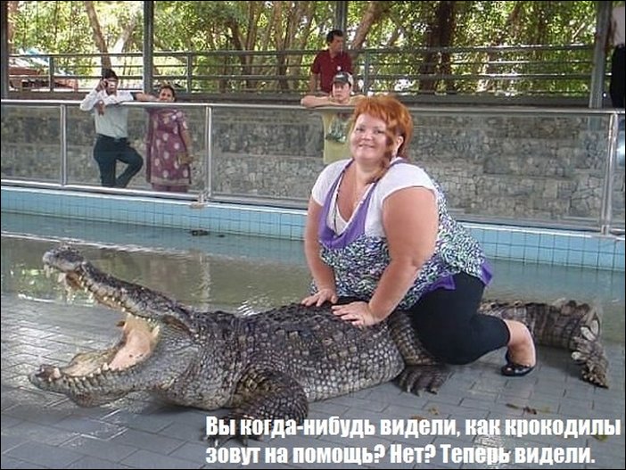 Фото приколы