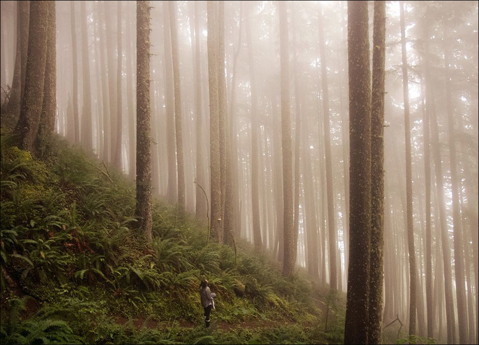 Фото приколы