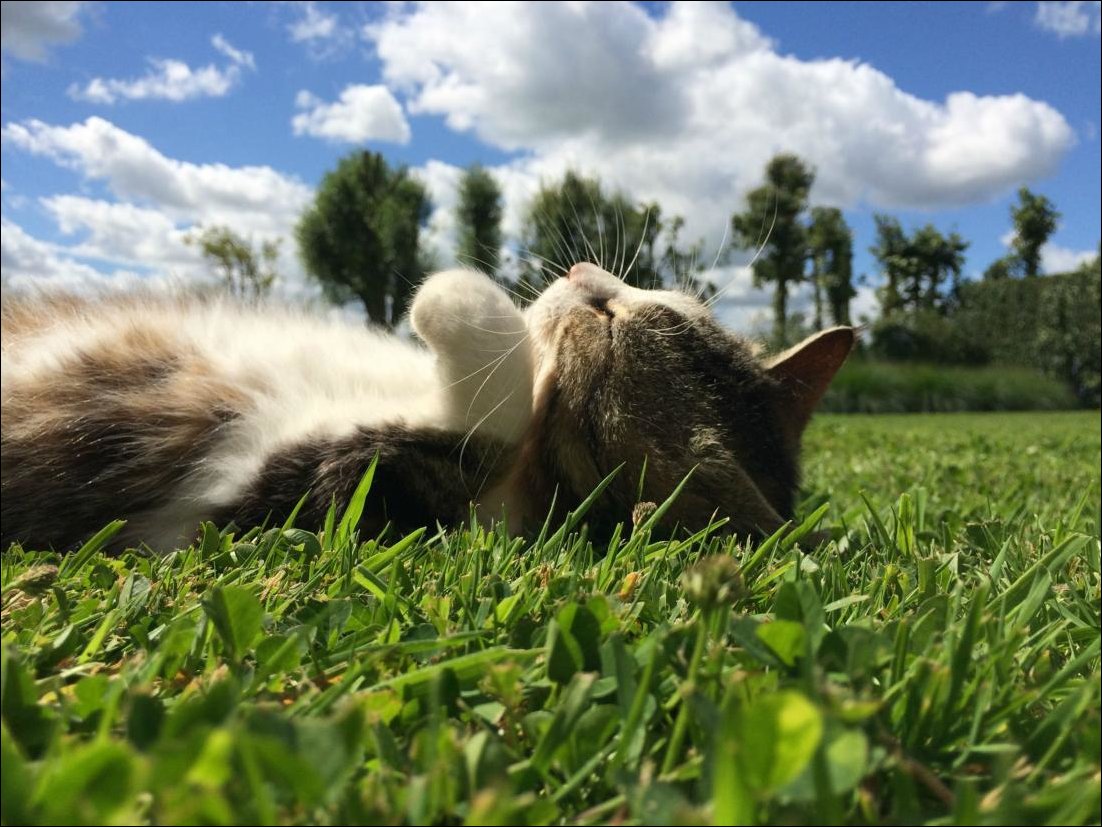 Фото приколы