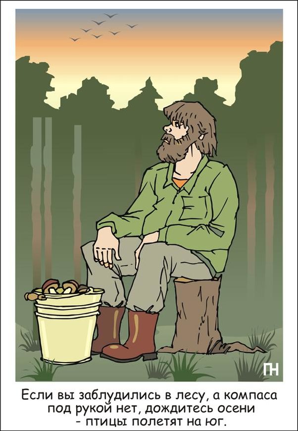 Комиксы и карикатуры