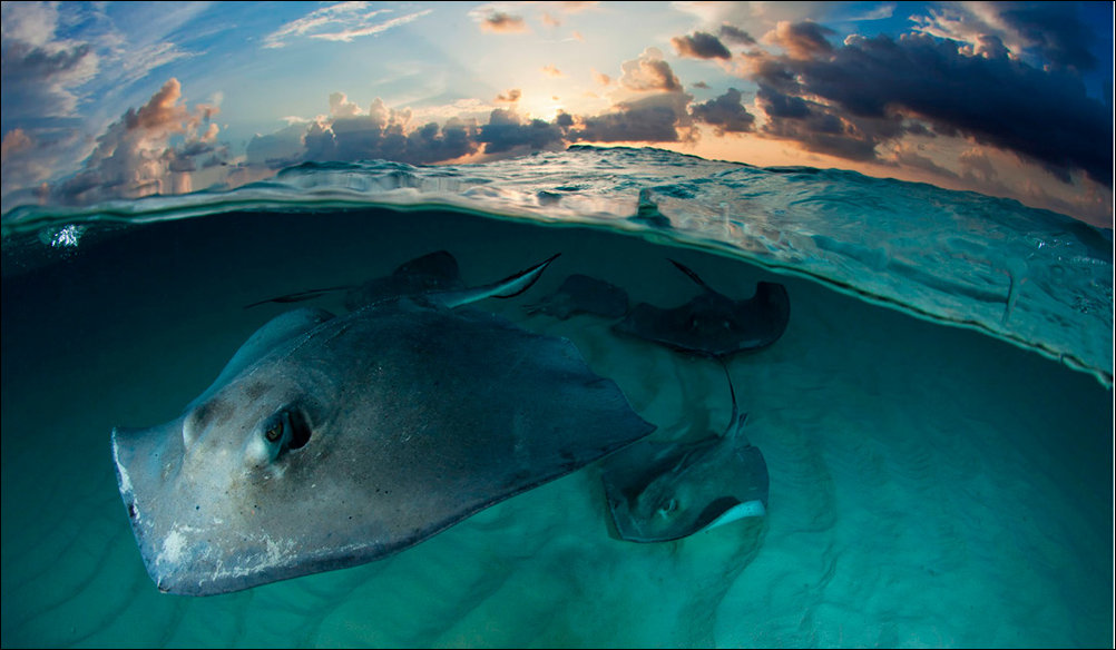 Фотоприколы