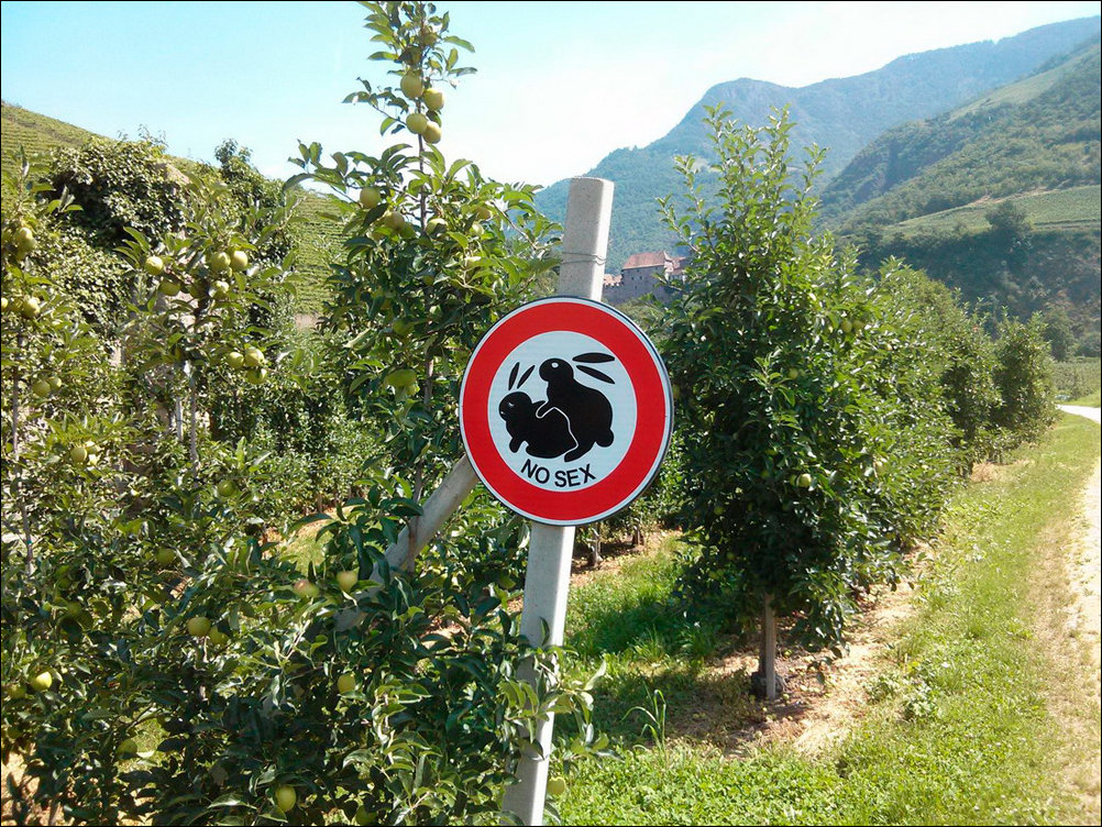 Фотоприколы