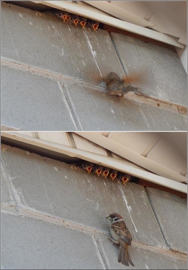 Фотоприколы