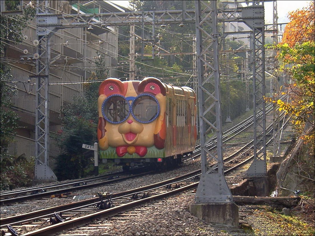 Фотоприколы