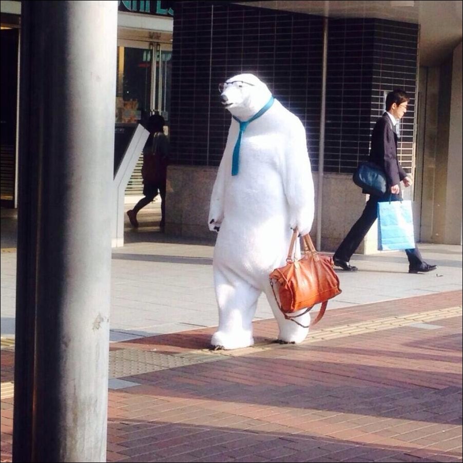 Фотоприколы