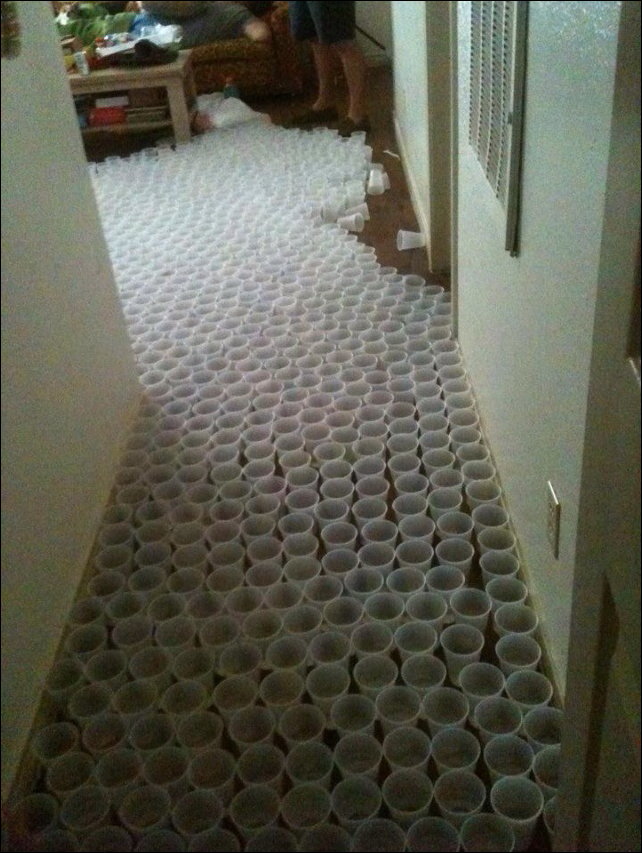 Фотоприколы