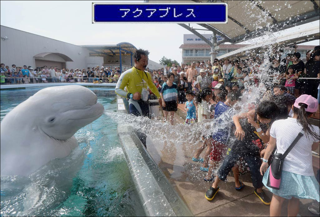 Фотоприколы