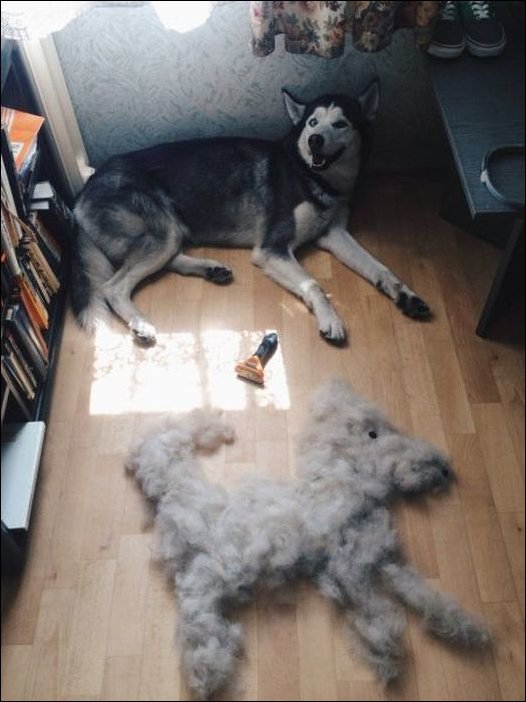 Фотоприколы