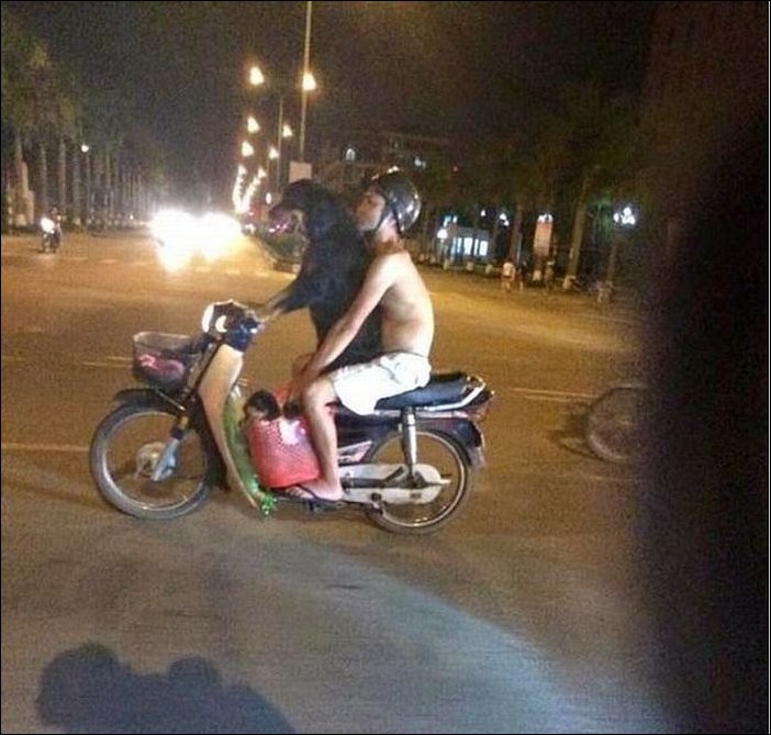 Фотоприколы