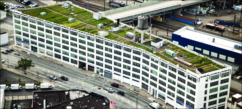 Самые удивительные крыши