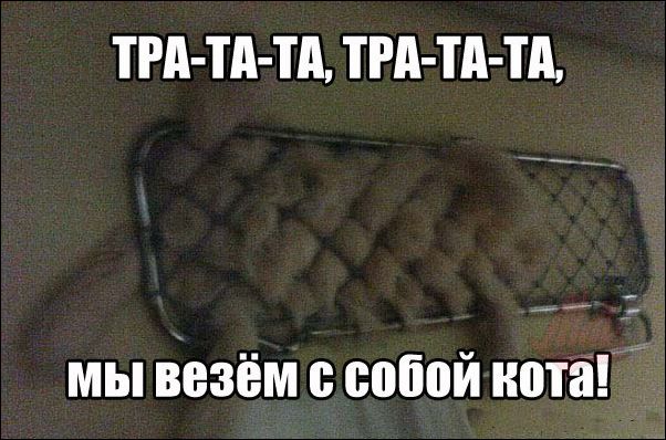 Комиксы и карикатуры