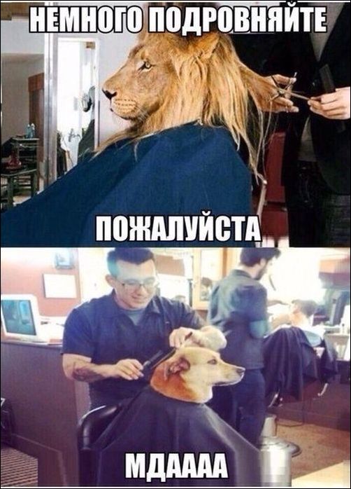 Комиксы и карикатуры