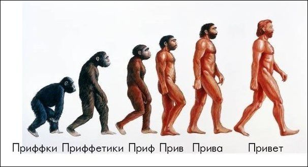 Комиксы и карикатуры