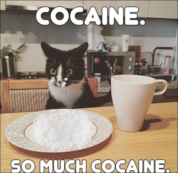 Комиксы и карикатуры