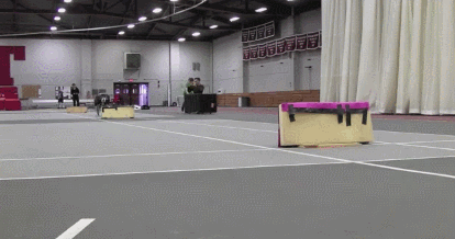 Прикольные гифки