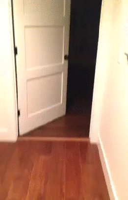 Прикольные гифки