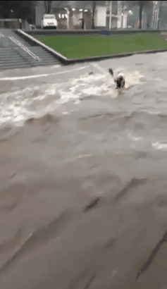 Прикольные гифки