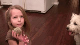 Прикольные гифки