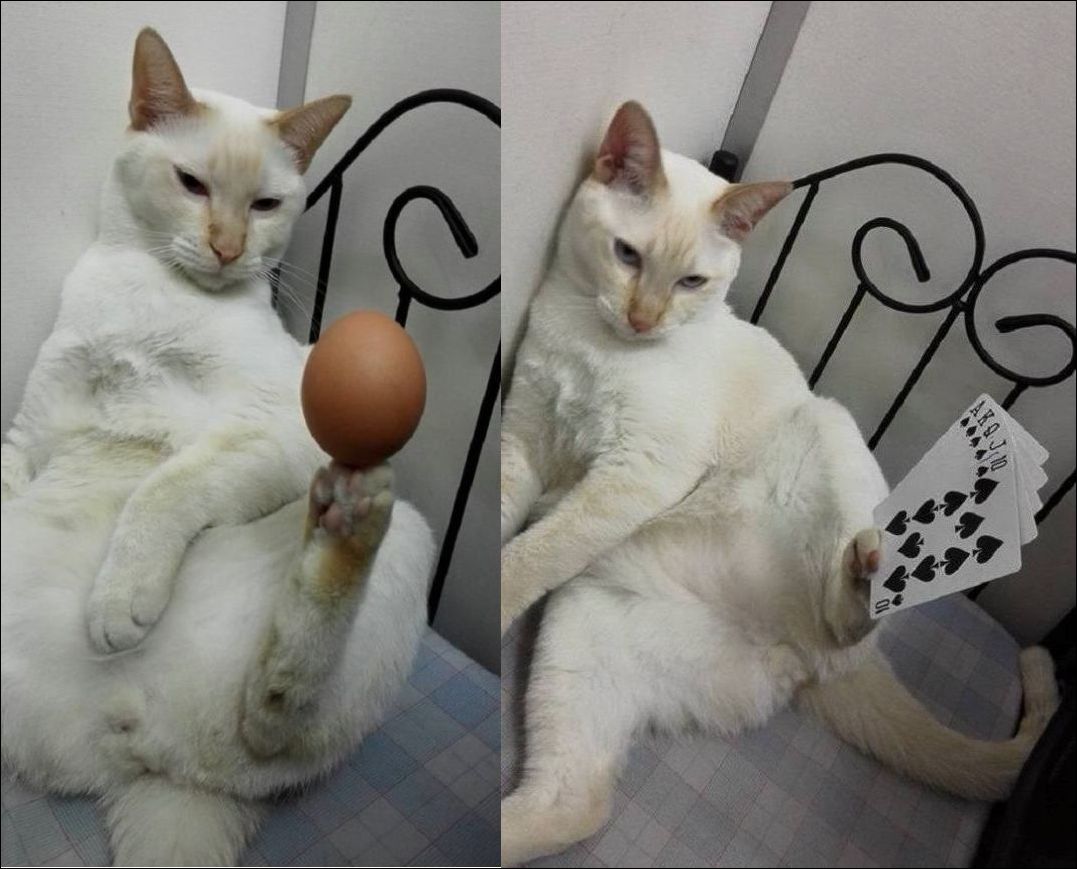 Фото приколы