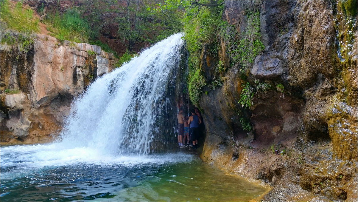 Фото приколы